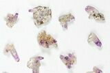 Lot: Small Veracruz Amethyst Clusters - Pieces #80630-2